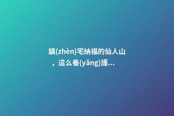 鎮(zhèn)宅納福的仙人山，這么養(yǎng)護(hù)，郁郁蔥蔥，真好看！